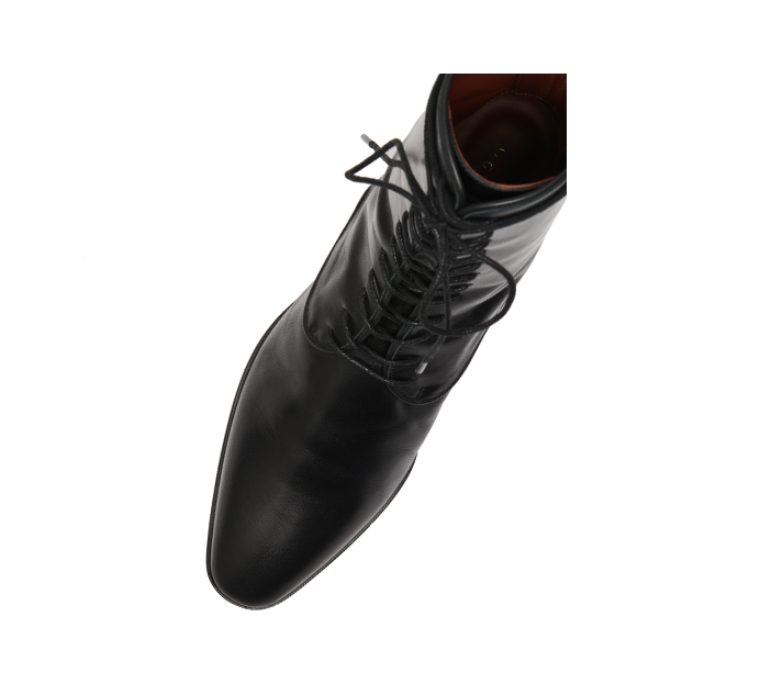 AUDACE_BLKCALFBIRDVIEW